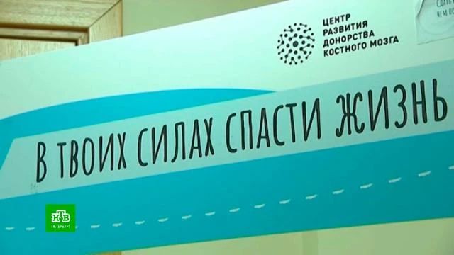 Доноров костного мозга в Ленобласти хотят привлекать льготами