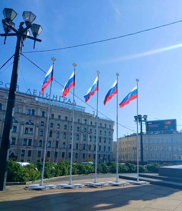 Санкт-Петербург украсили ко Дню Государственного флага Санкт-Петербург украсили ко Дню Государственного флага