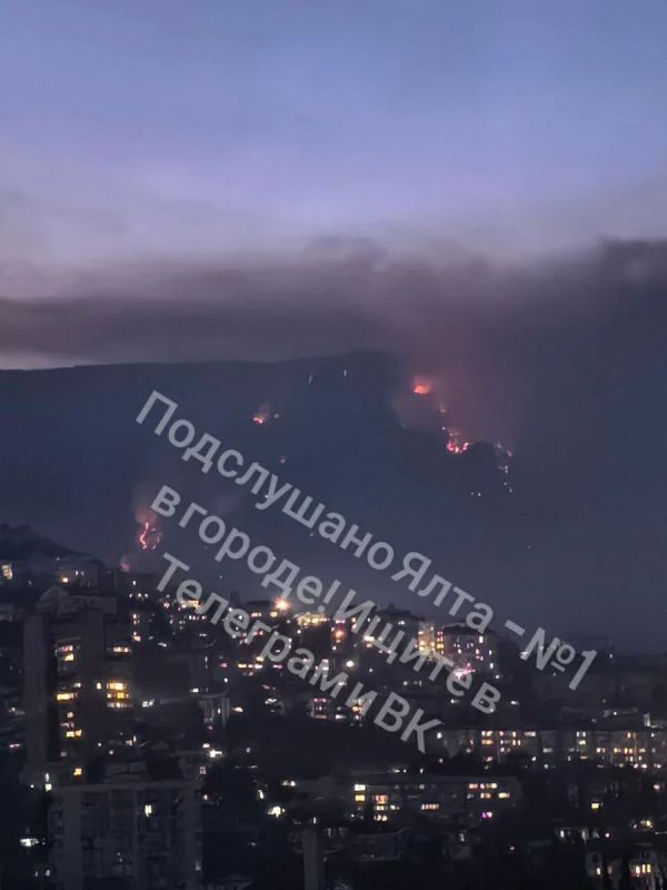 «Без слёз не взглянешь...» «Без слёз не взглянешь...»