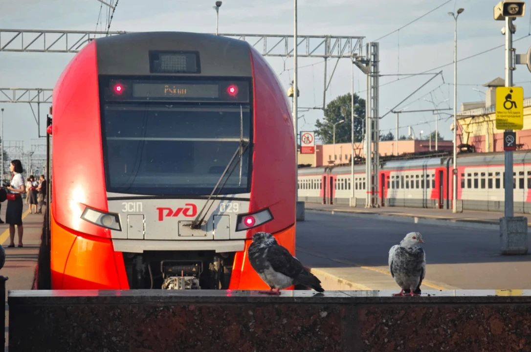 Дополнительную «Ласточку» пустили из Петербурга в Выборг по будням до конца сентября