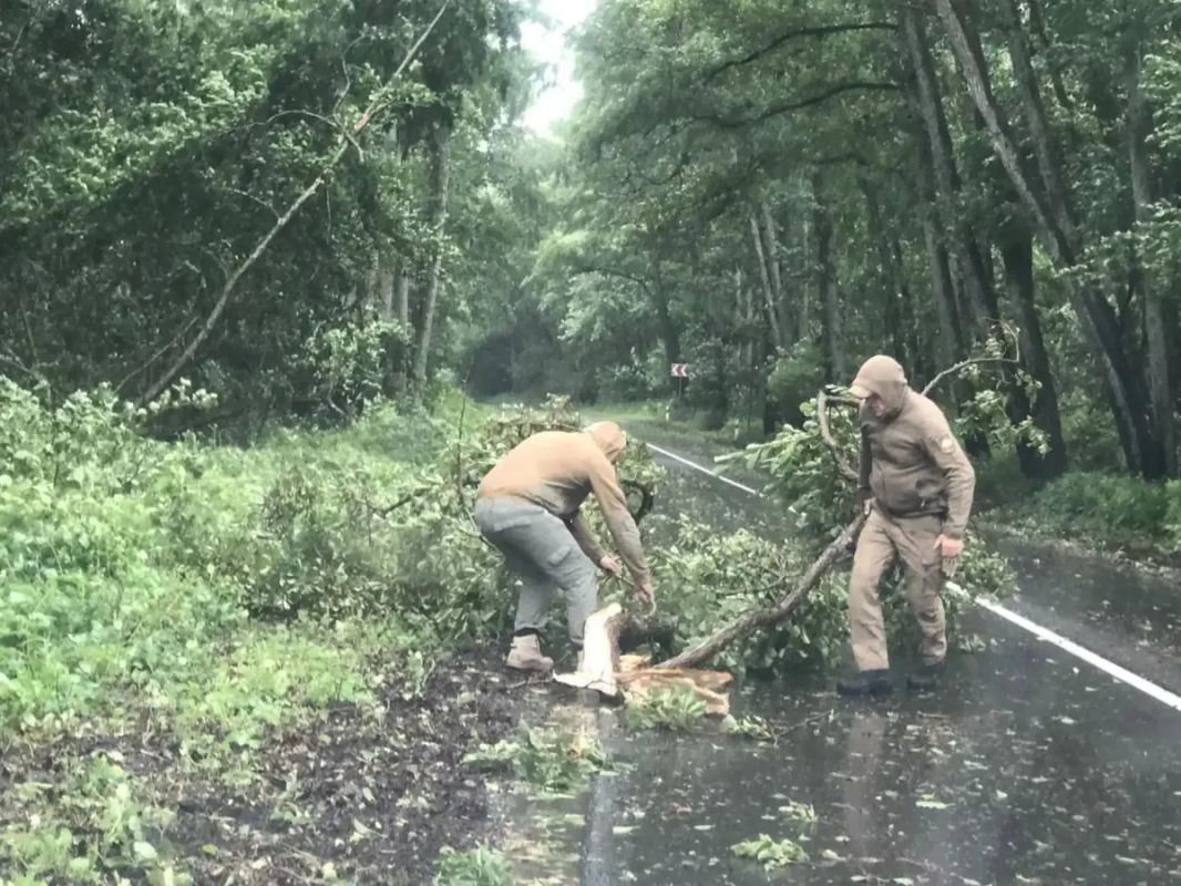 Мощный штормовой ветер обрушился на Калининградскую область Мощный штормовой ветер обрушился на Калининградскую область