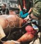 Удар Хорнета обеспечил поступление очередного раненого