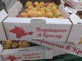 Михаил Онуфриенко: Боже! Как я отстал от жизни!