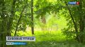 �� ��������� ����, ������� ����� ������� ��� � ������� ����, ������� ��������