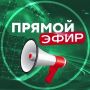 Юлия Витязева: Россиянам грозит ответственность за рисунки мелом на асфальте