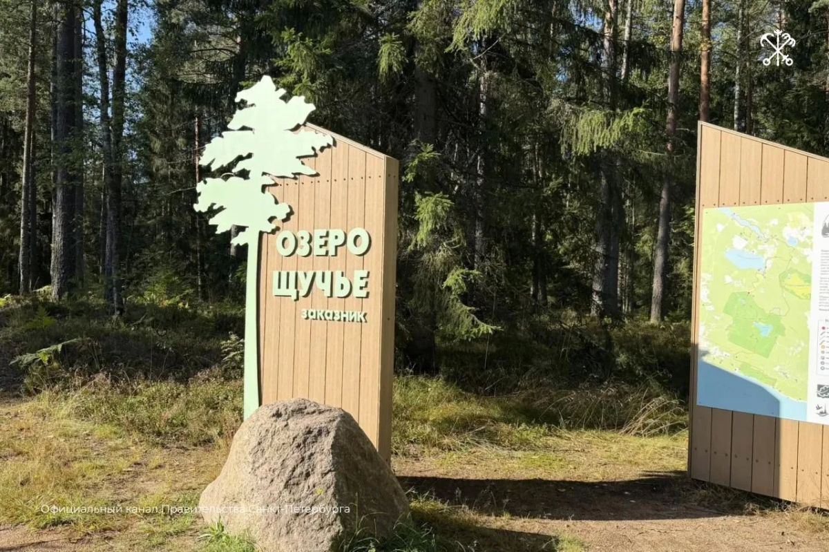 250 молодых сосен высадили в заказнике "Озеро Щучье"