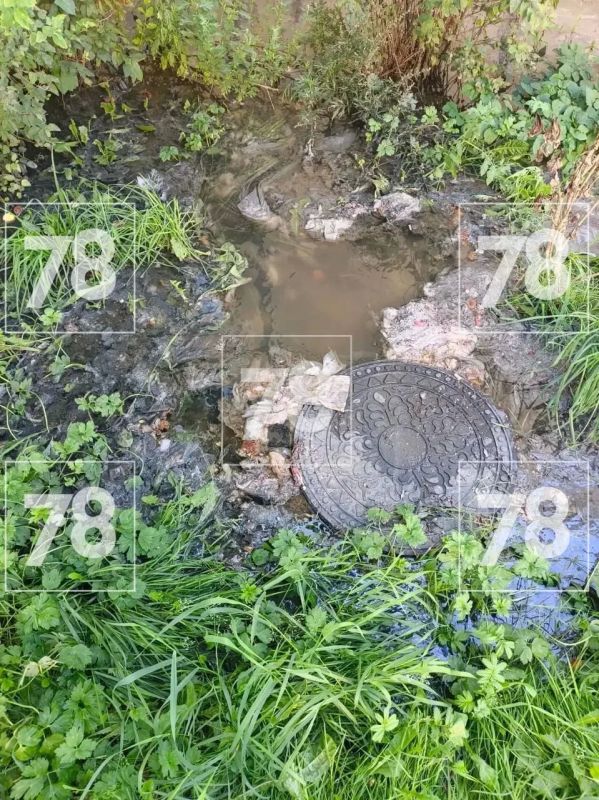 Жители дома на Московском шоссе в Тосно уже третий день тонут в фекалиях
