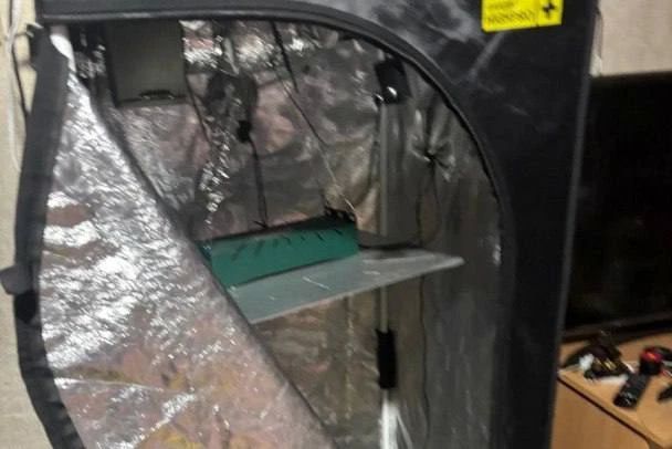 В Мурино задержали 32-летнего мужчину, подозреваемого в экономическом преступлении, — в его квартире нашли шесть килограммов огурцов марихуаны в стеклянных банках