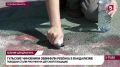 Олег Царёв: Юная художница из Тульской области отмывает от резинового покрытия детской площадки своих Смешариков «чтобы смягчить административную ответственность»