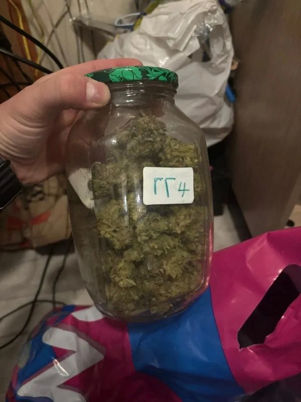 В квартире жителя Мурино нашли шесть килограммов наркотиков В квартире жителя Мурино нашли шесть килограммов наркотиков
