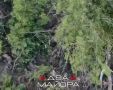 Два майора: Запорожский фронт. Операторы дронов 19 гвардейской мотострелковой дивизии зачищают лесополосы по направлению к нп.Камышеваха от групп противника