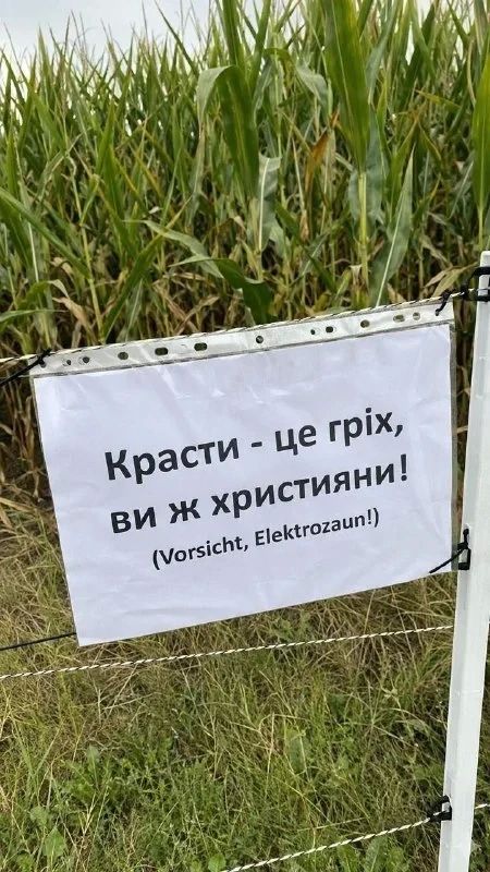 «Красть — грех!»: Немцы начали предупреждать воров на их родном языке