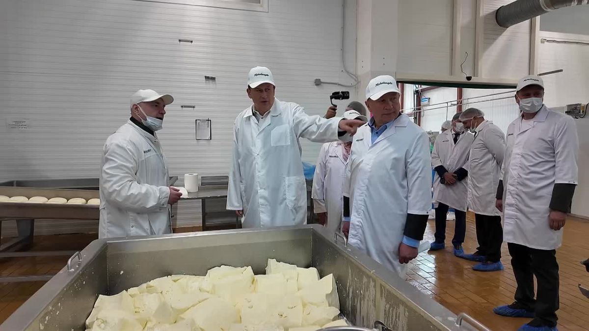 Производство мягких сыров в Ленобласти вырастет на 50%