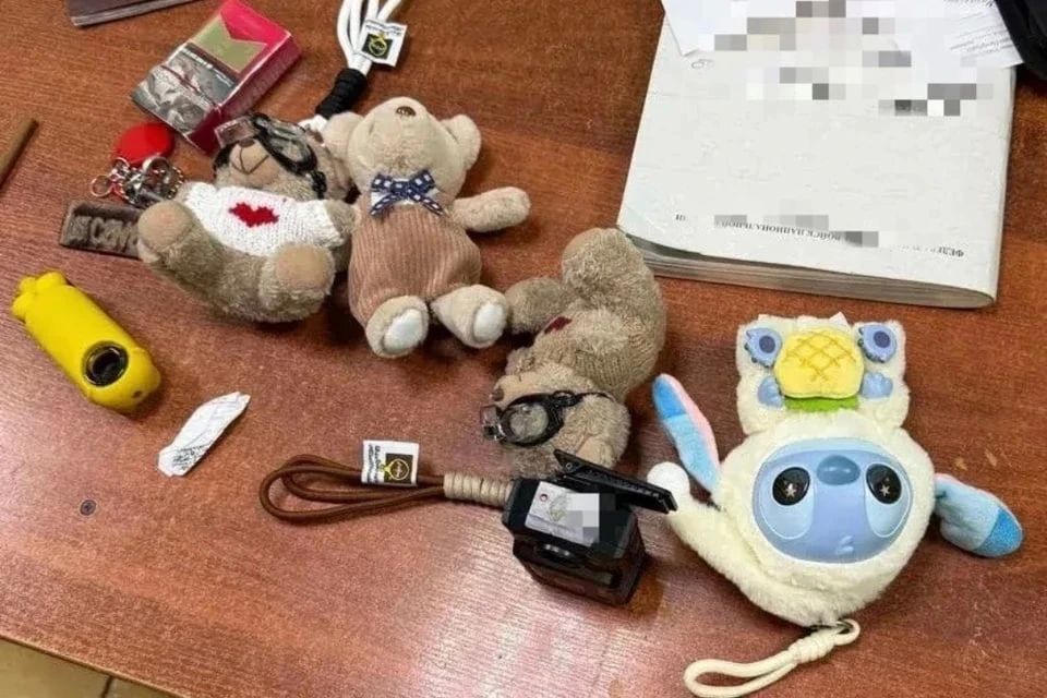 Плюшевый провал: пьяные петербуржцы вскрыли автомат с игрушками на Думской