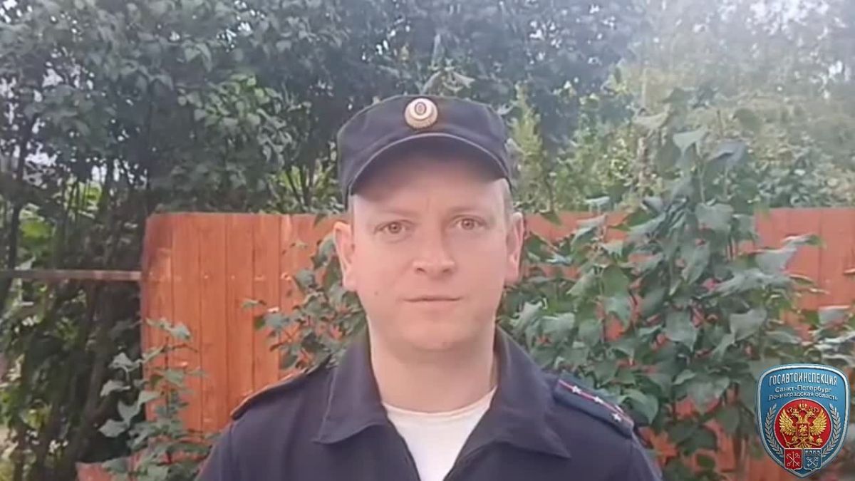 Полиция Ленинградской области проводит проверку по факту смертельного ДТП в Лужском районе