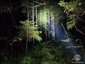 ПСО «Экстремум» нашел двух заблудившихся людей за один день в Приозерском районе