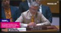 Заверещали. Постпред Украины в ООН объявил о «тысячах ударов «Искандерами» в день»