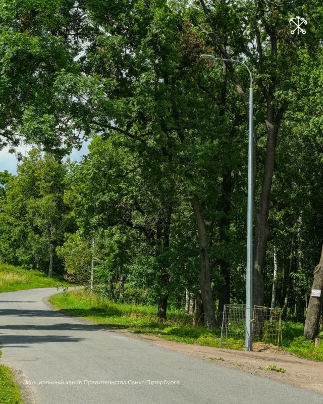 На улице Равенства в Красном Селе обновят наружное освещение На улице Равенства в Красном Селе обновят наружное освещение