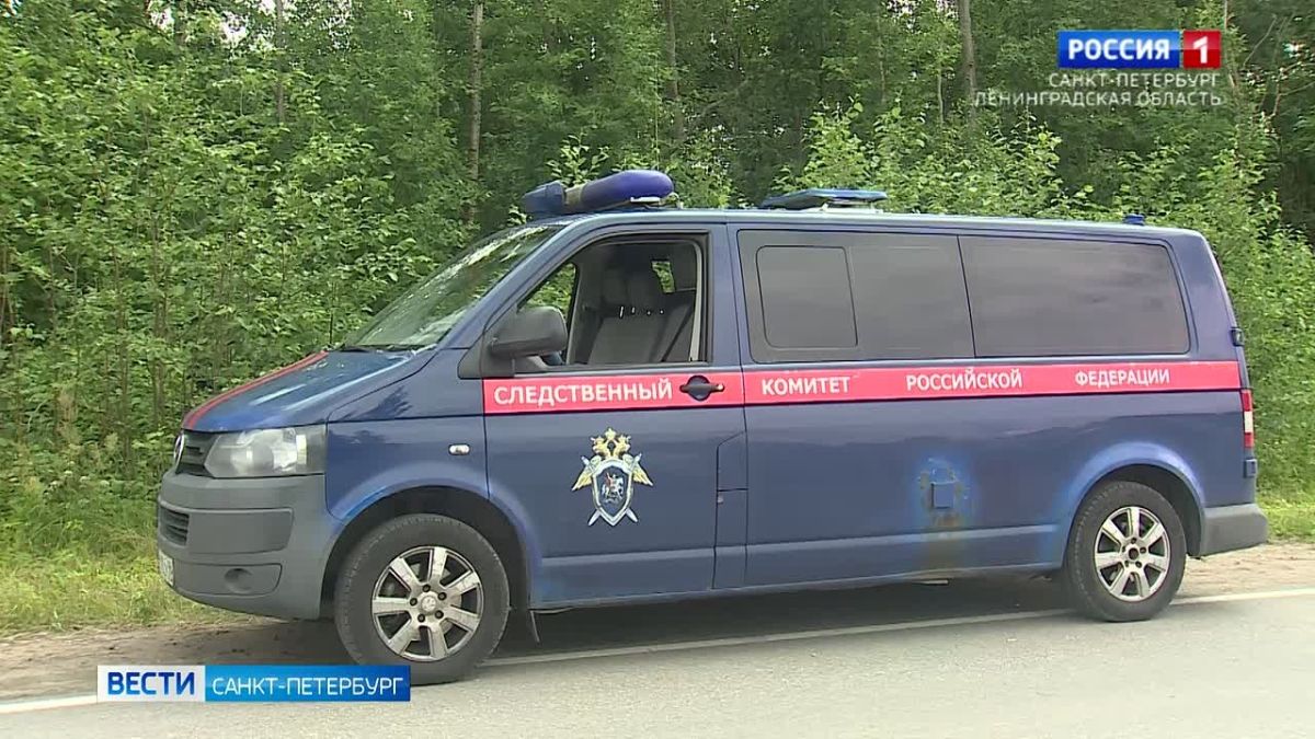 Подростков, избивших мужчину в Удельном парке, заключили под стражу