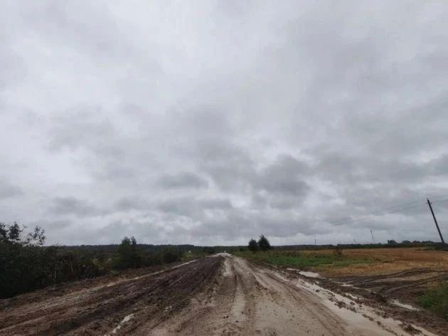 Затяжные дожди превратили дорогу Ушаки — Рублево — Гуммолово в месиво под Тосно, сообщает 47news