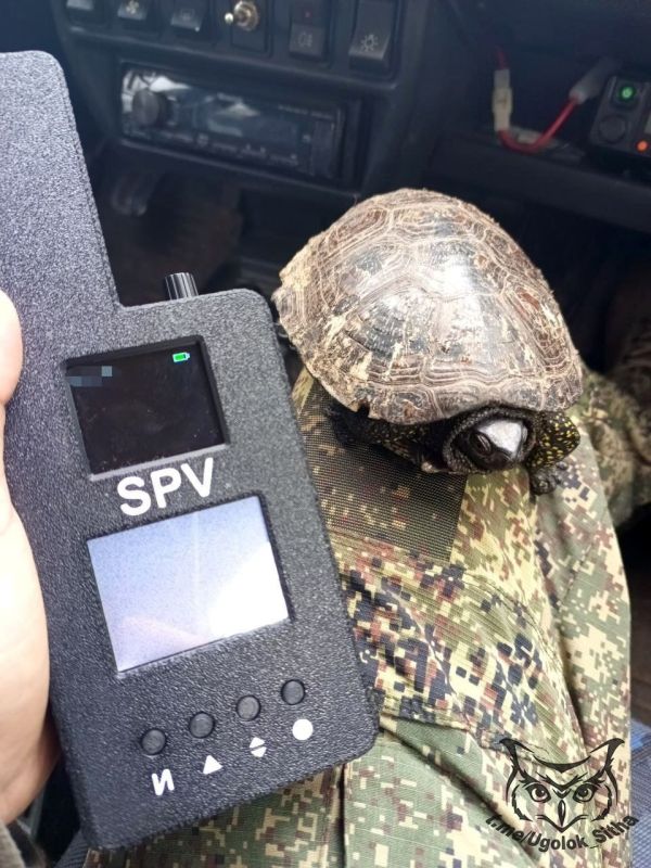 Фотоподборка от @Ugolok_Sitha - "Z - в зоне проведения Специальной Военной Операции" Фотоподборка от @Ugolok_Sitha - "Z - в зоне проведения Специальной Военной Операции"