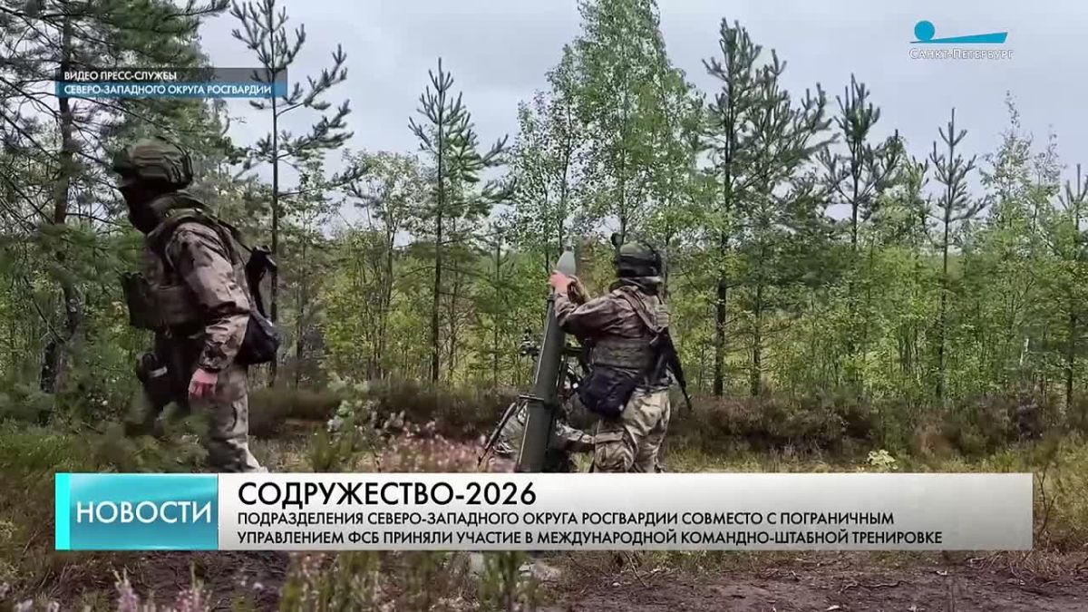 В Ленобласти прошли учения «Содружество-2026» с участием Росгвардии, ФСБ и пограничников