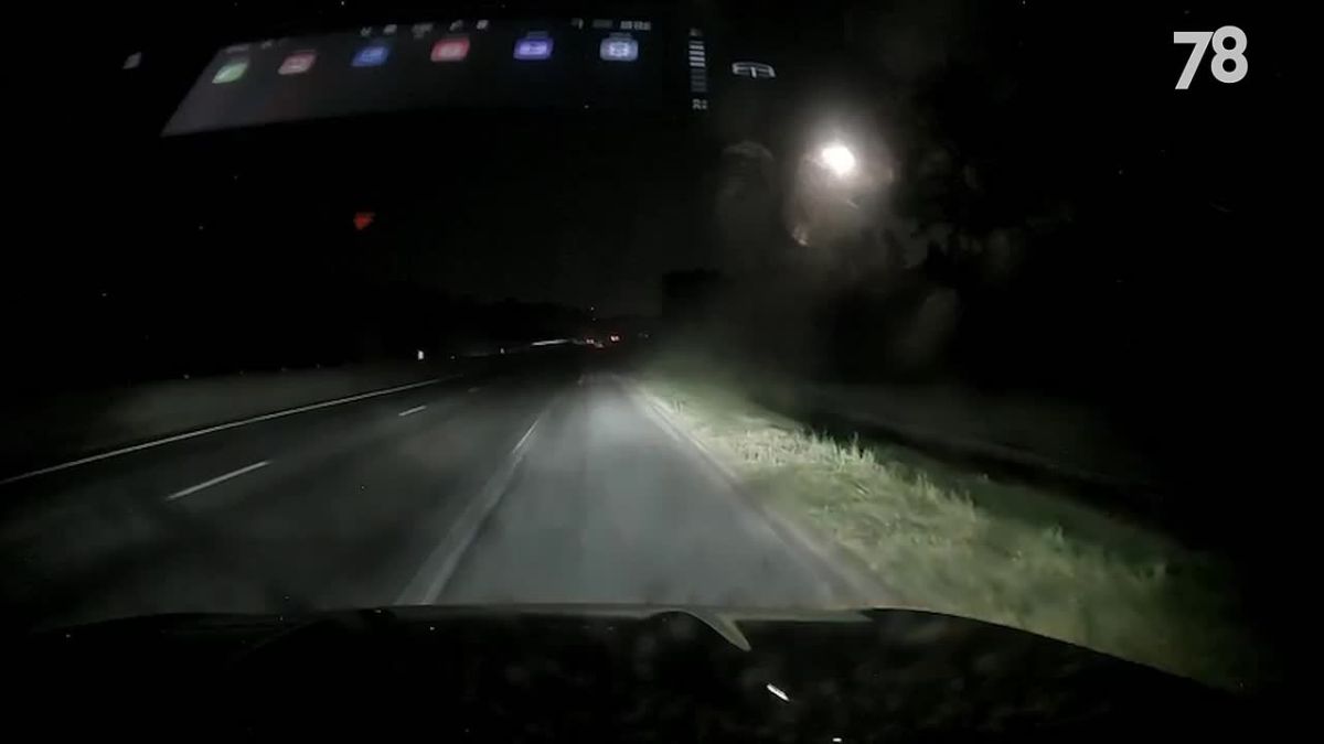 Пьяный водитель иномарки спровоцировал ДТП на Новоприозерском шоссе