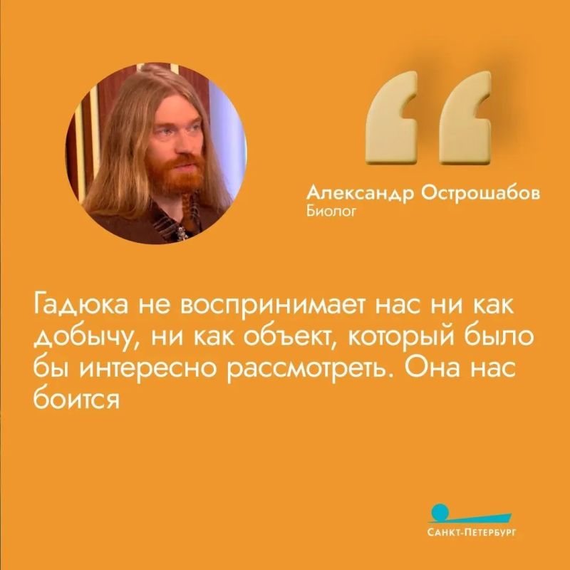 Укус гадюки очень болезненный и вызывает сильную припухлость, потому что яд разъедает ткани и мешает свертыванию крови Укус гадюки очень болезненный и вызывает сильную припухлость, потому что яд разъедает ткани и мешает свертыванию крови