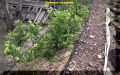 ��� ��������� �������� �������� � �������: ������ �� ����� � ���������� �����