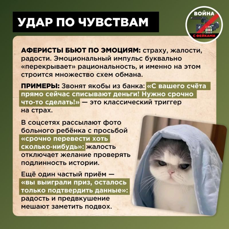 «Ах, обмануть меня не трудно! Я сам обманываться рад!» Эти строки Пушкина как нельзя лучше подходят для описания нынешней ситуации