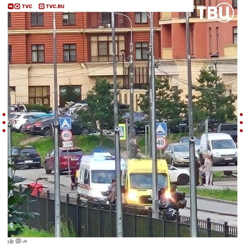 Маленькая девочка хотела погладить пса без намордника, но тот вцепился ей в лицо Маленькая девочка хотела погладить пса без намордника, но тот вцепился ей в лицо