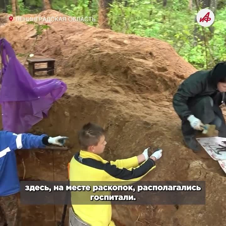 Вернулись с фронта. Поисковики нашли под Санкт-Петербургом воинское захоронение