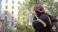 Делимся кадрами пожара на Большой Зелениной улице