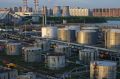Полная национализация Петербургского нефтяного терминала не за горами: Генпрокуратура подала иск к Елене Васильевой и ее супругу, которые контролируют 45% акций терминала