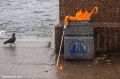 Последние дни лета Петербург проведет под дождем
