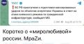 Юлия Витязева: В соответствии с полученными указаниями, Вооруженные Силы Российской Федерации приступили к подготовке нанесения массированных ударов по объектам энергетики Украины в ответ на продолжающиеся атаки киевского...