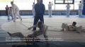 �����, ���������� � ���������: ����� ��������� ����������� ��������� ����� �������� � ������ ������