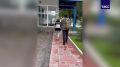 Юлия Витязева: На Камчатке задержали россиянку за работу на украинскую спецслужбу, сообщили в ФСБ
