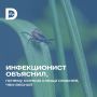 В начале лета мы мы ещё опасаемся клещей, но к осени уже расслабляемся
