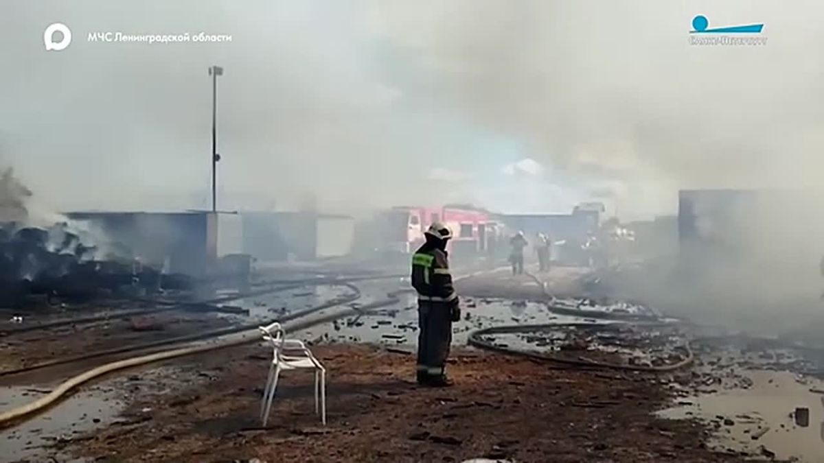 Сотрудники правоохранительных органов установили причину возгорания на несанкционированной свалке во Всеволожском районе