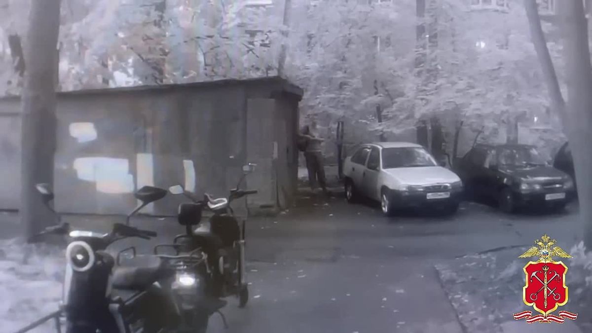 В Калининском районе СанктПетербурга разыгрался настоящий триллер: 21летний курьер мошенников ворвался в квартиру 26летней петербурженки, требовал перевести деньги, а когда банк заблокировал операцию — схватил бейсбольную...