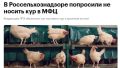 ���� � ������?!. ��� �� ��������� ������� ��������? ��������.�� � �� ������ �������� ������ | ���������