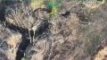 Александр Коц: Кадры освобождения Червоной Криницы