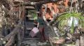 В Ленинградском зоопарке сегодня празднует день рождения даман Сеня