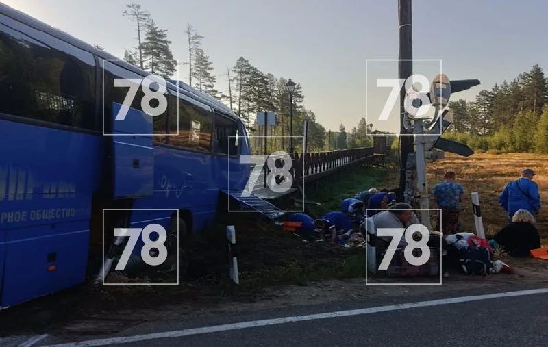 Водителю автобуса, устроившему страшное ДТП с поездом в Ленобласти, вынесли приговор