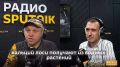Как лось укрепляет рога перед сезоном брачных турниров, рассказал биолог Павел Глазков