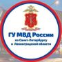 Полмиллиона за «декларирование»: в Петербурге задержан 18-летний курьер