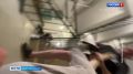 По факту избиения женщины на Фонтанке возбуждено уголовное дело