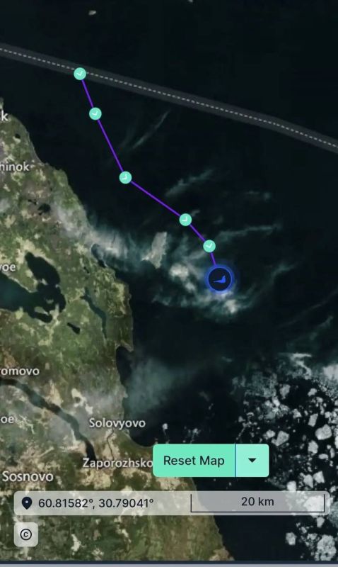 Крошик решил, что пришло время окончательно сепарироваться от мам и пап волонтеров «Фонда друзей балтийской нерпы»
