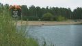 На Ольгинском пруду в Петербурге запечатлели большого баклана